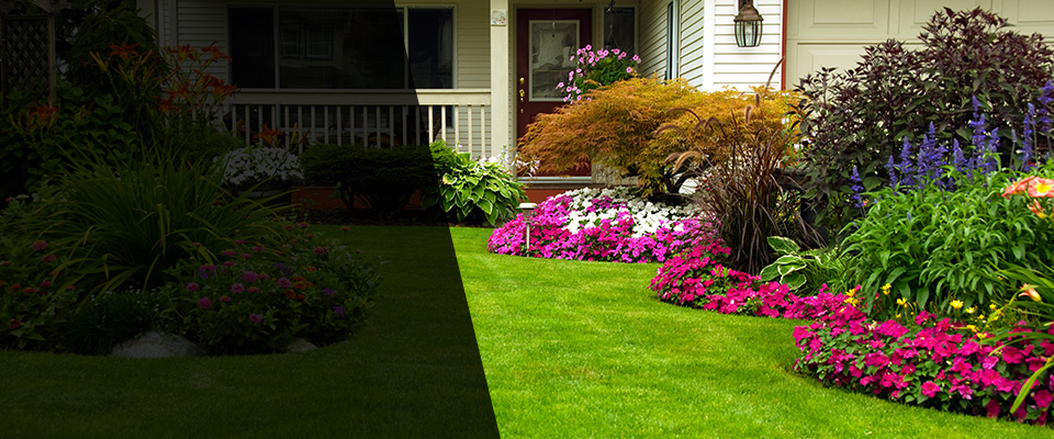 Loxley Landscapers