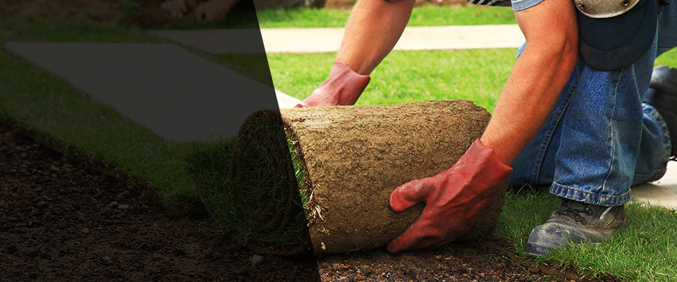 Loxley Landscapers